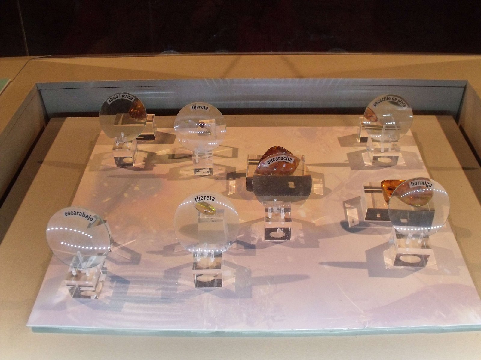 Museum of Natural Science