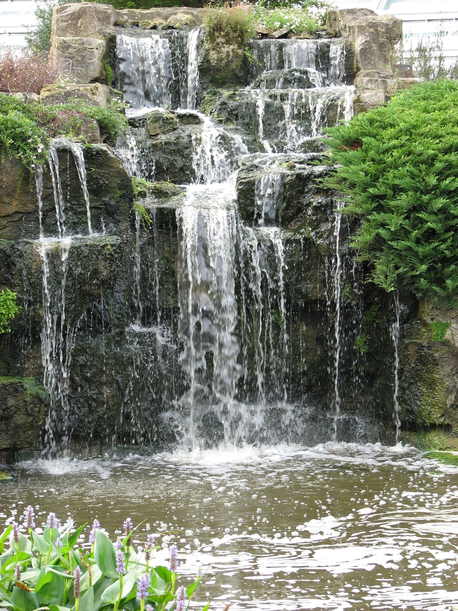 Royal Botanic Gardens, Kew
