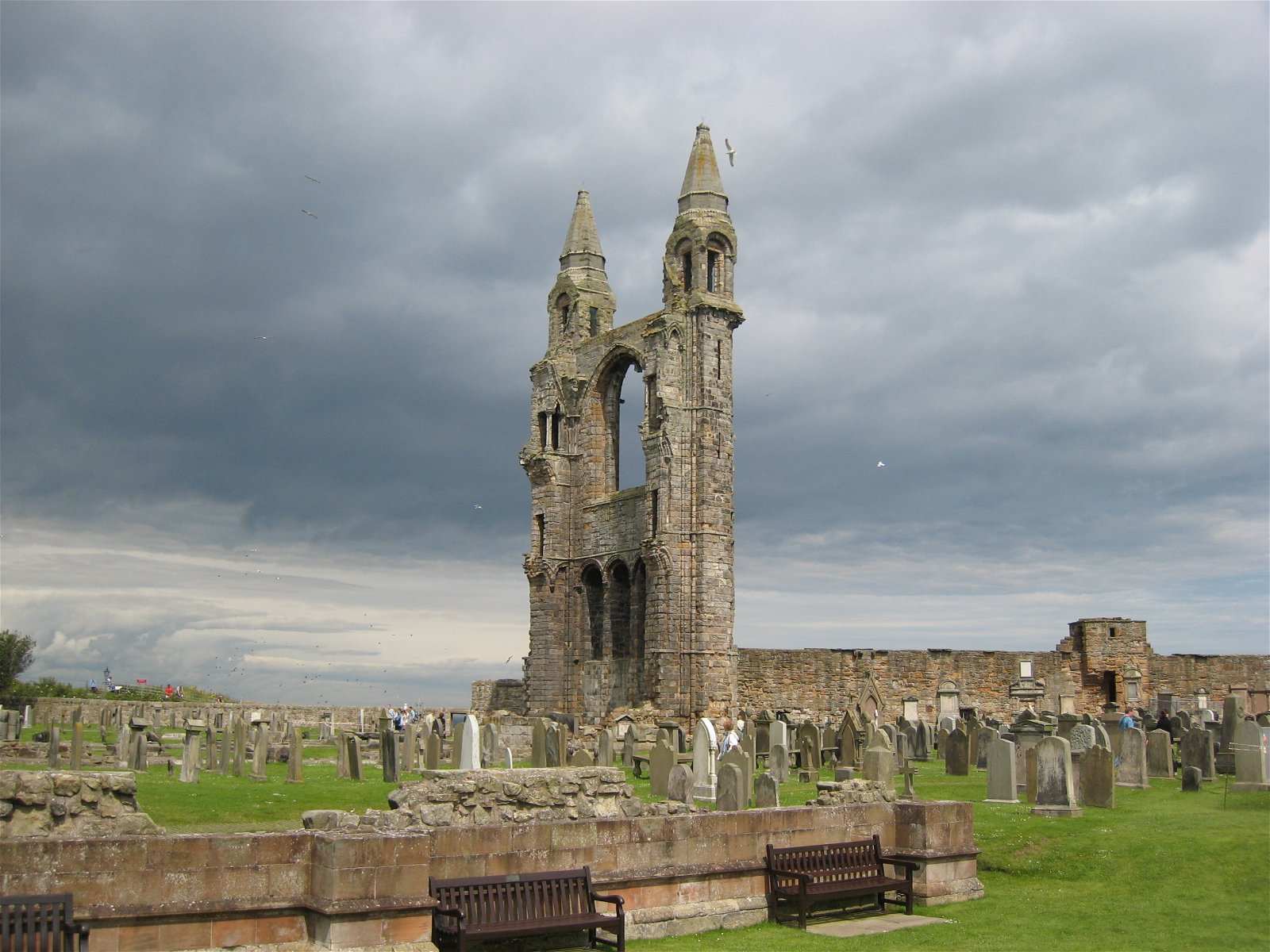 St Andrews Cathedral And St Rule's Tower