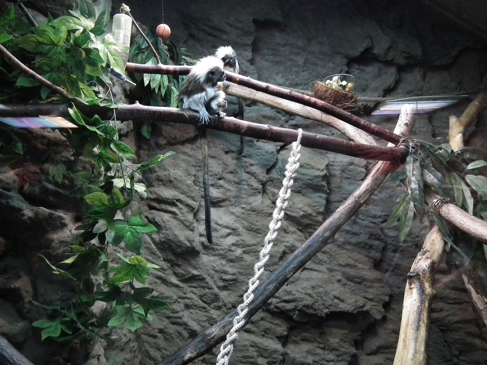 Aquarium and Museum of Natural History in Krakow