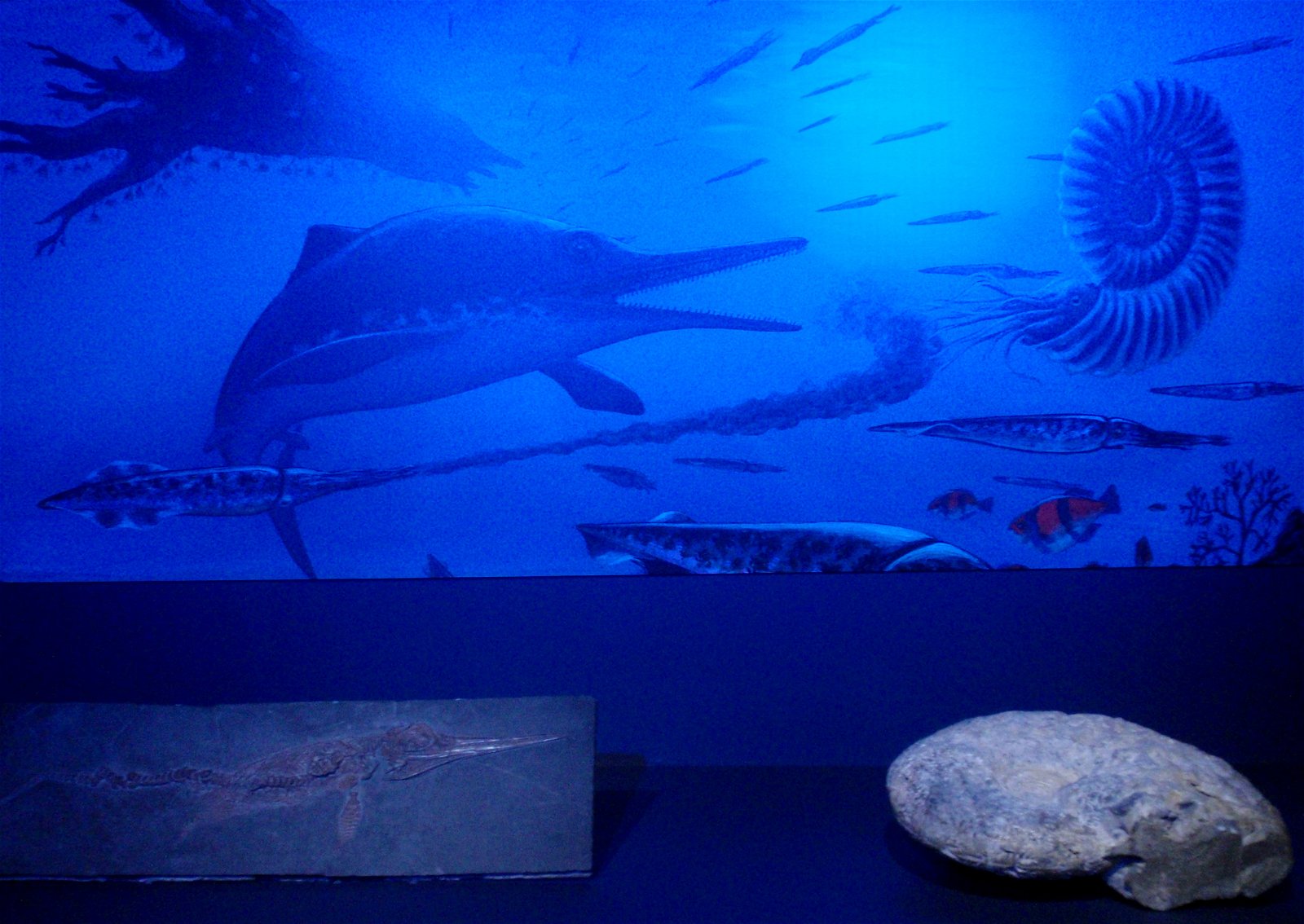 Museo Elder de la Ciencia y la Tecnología