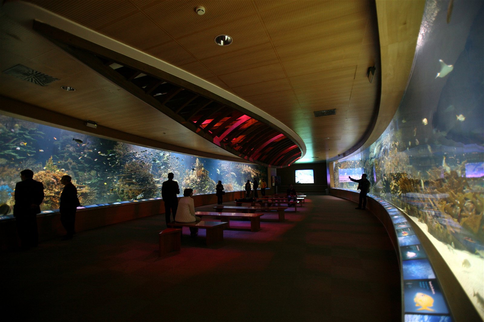 Oceanogràfic of Valencia