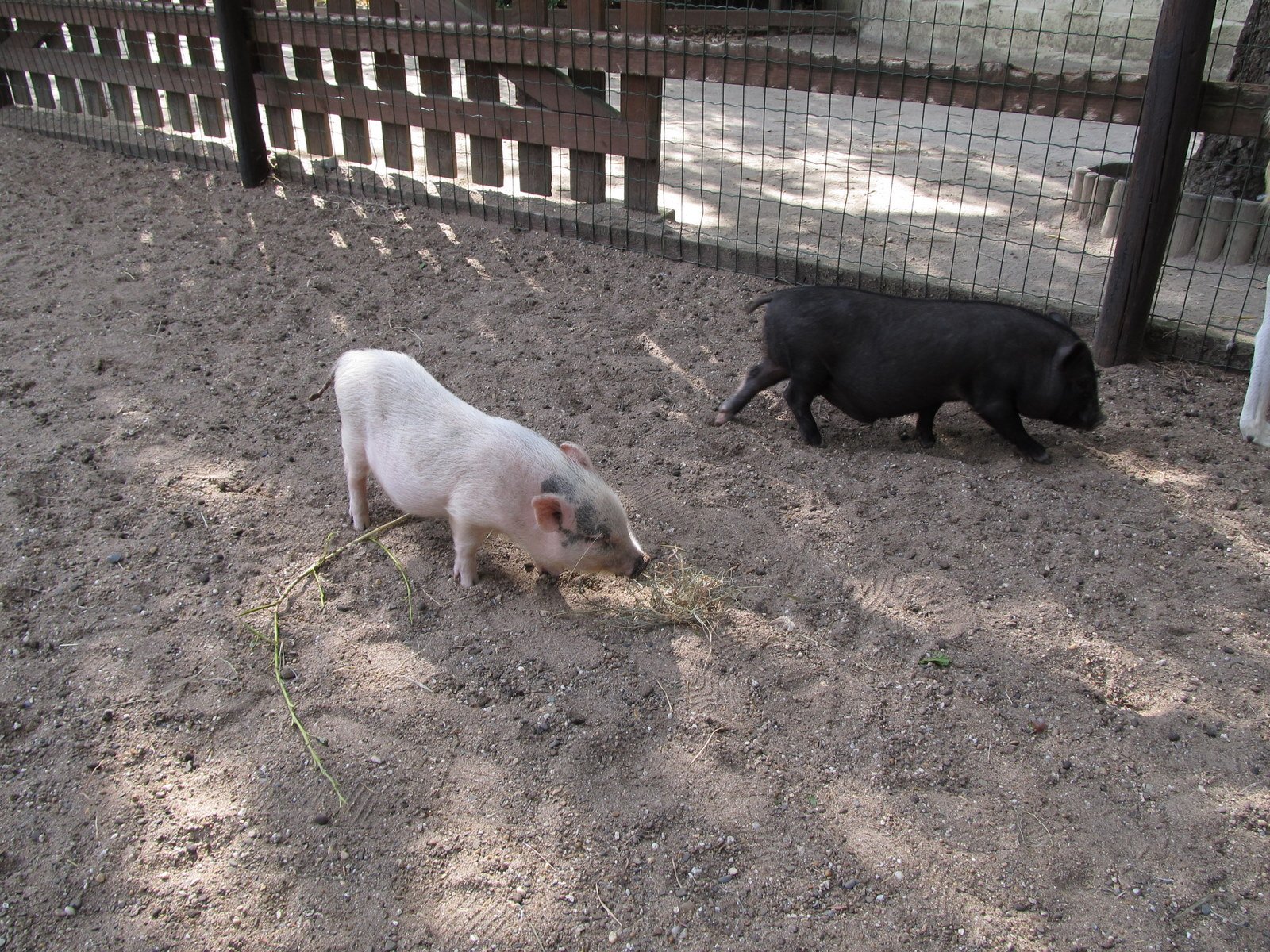 Familiepark Harry Malter