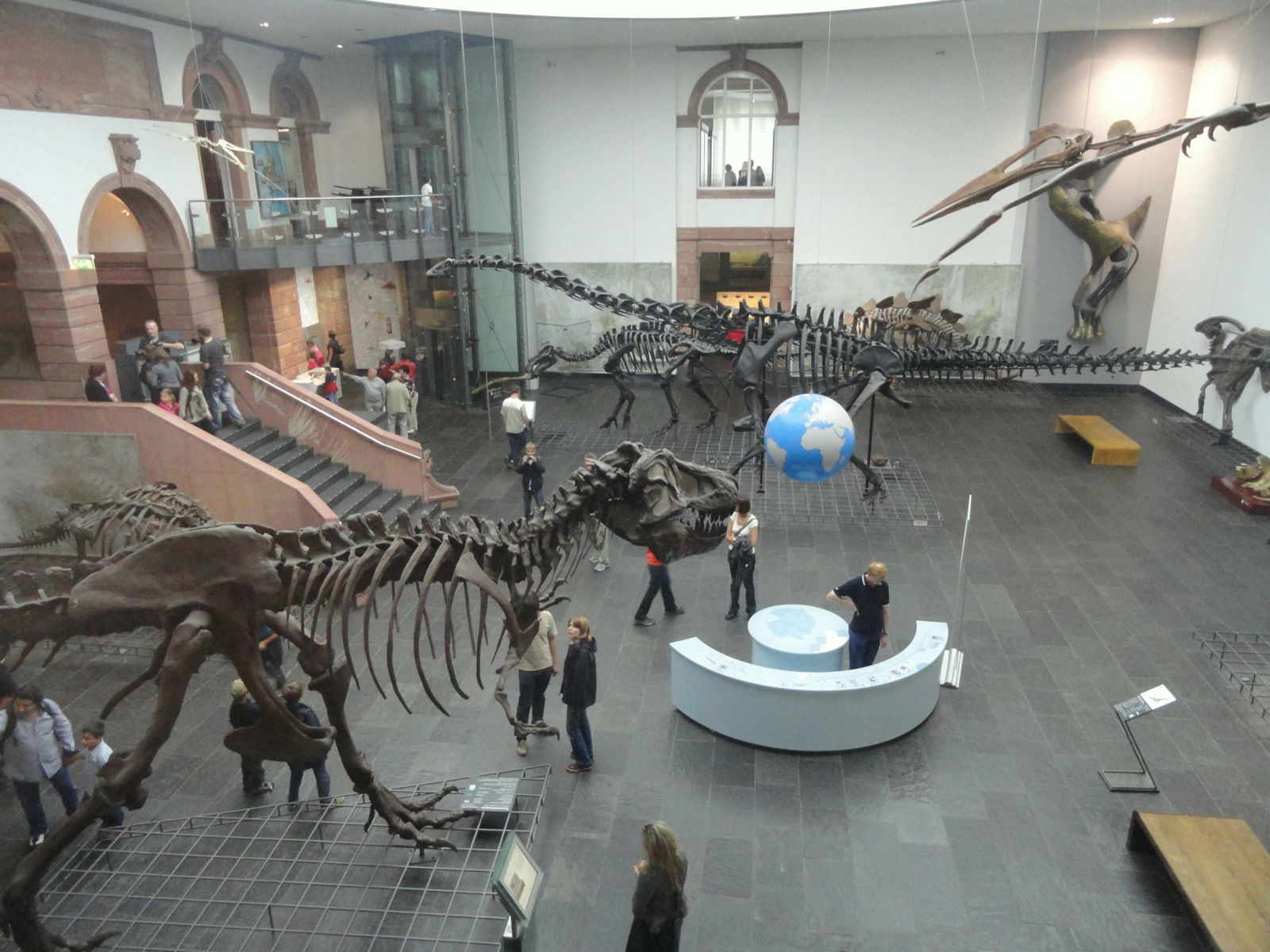 Naturmuseum Senckenberg