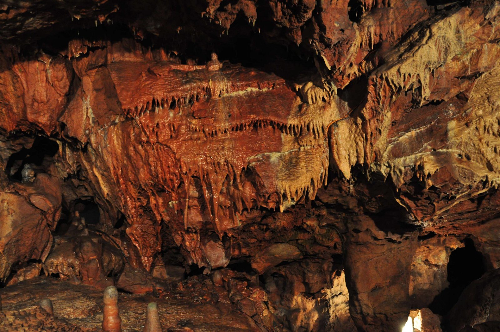 Kents Cavern Prehistoric Caves