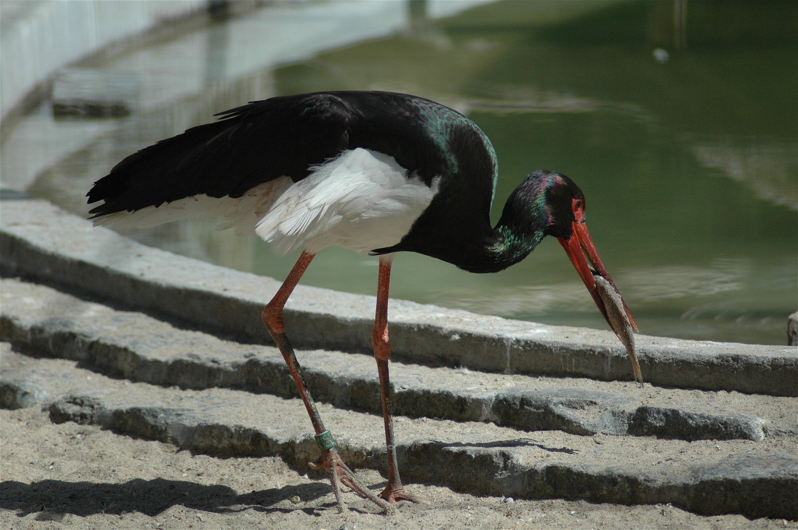 Wroclaw Zoo & Africarium