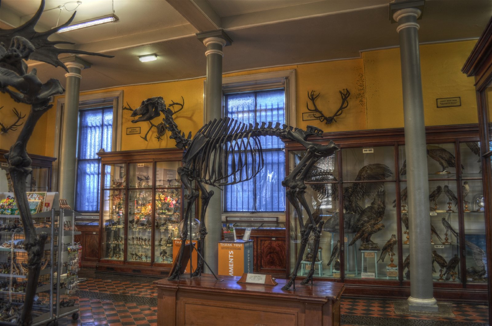 National Museum of Ireland - Natural History