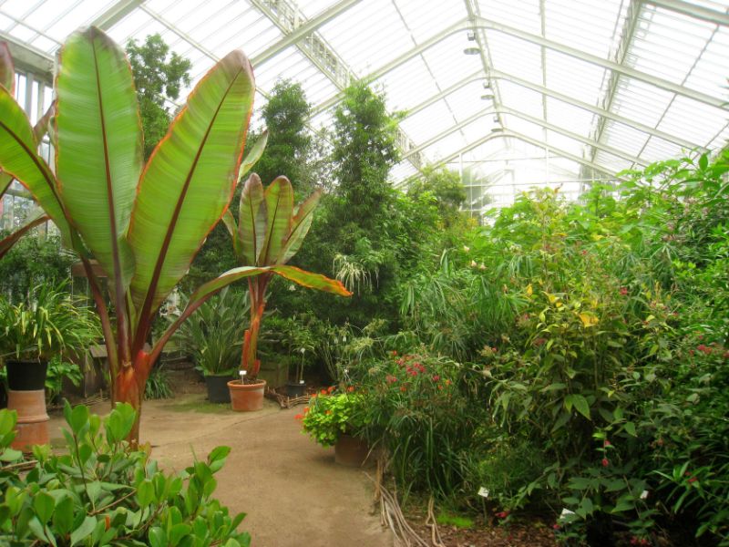Botanic Garden Meise