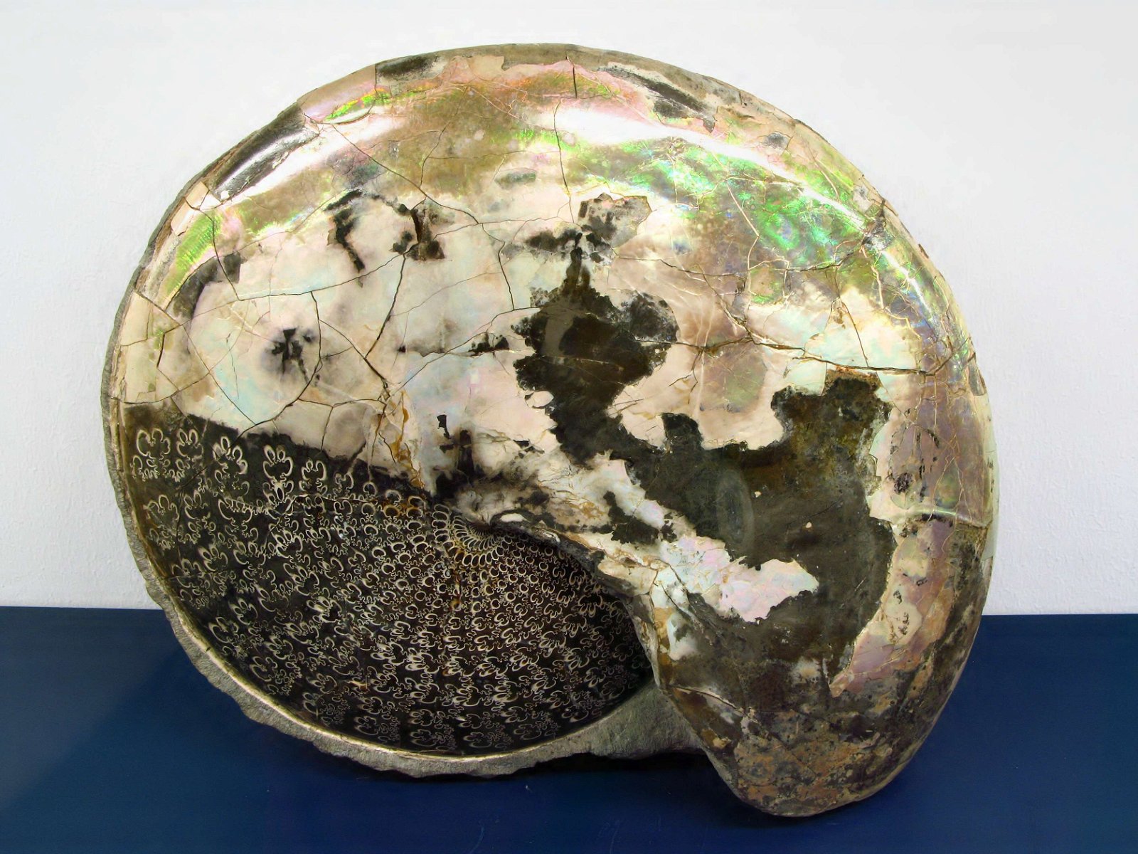 Mineralien-Museum Essen-Kupferdreh