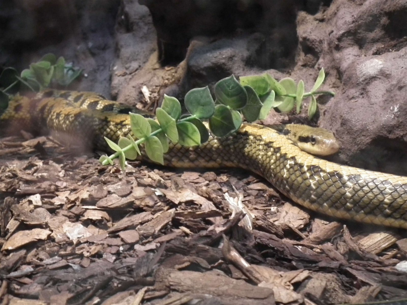 Aquarium and Museum of Natural History in Krakow