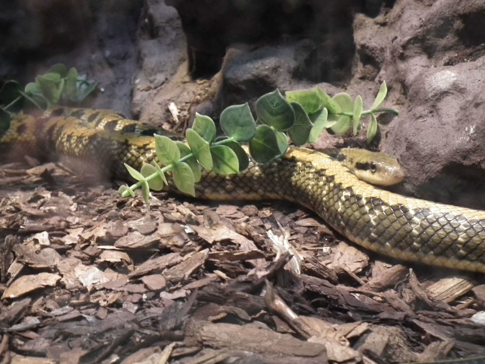 Aquarium and Museum of Natural History in Krakow