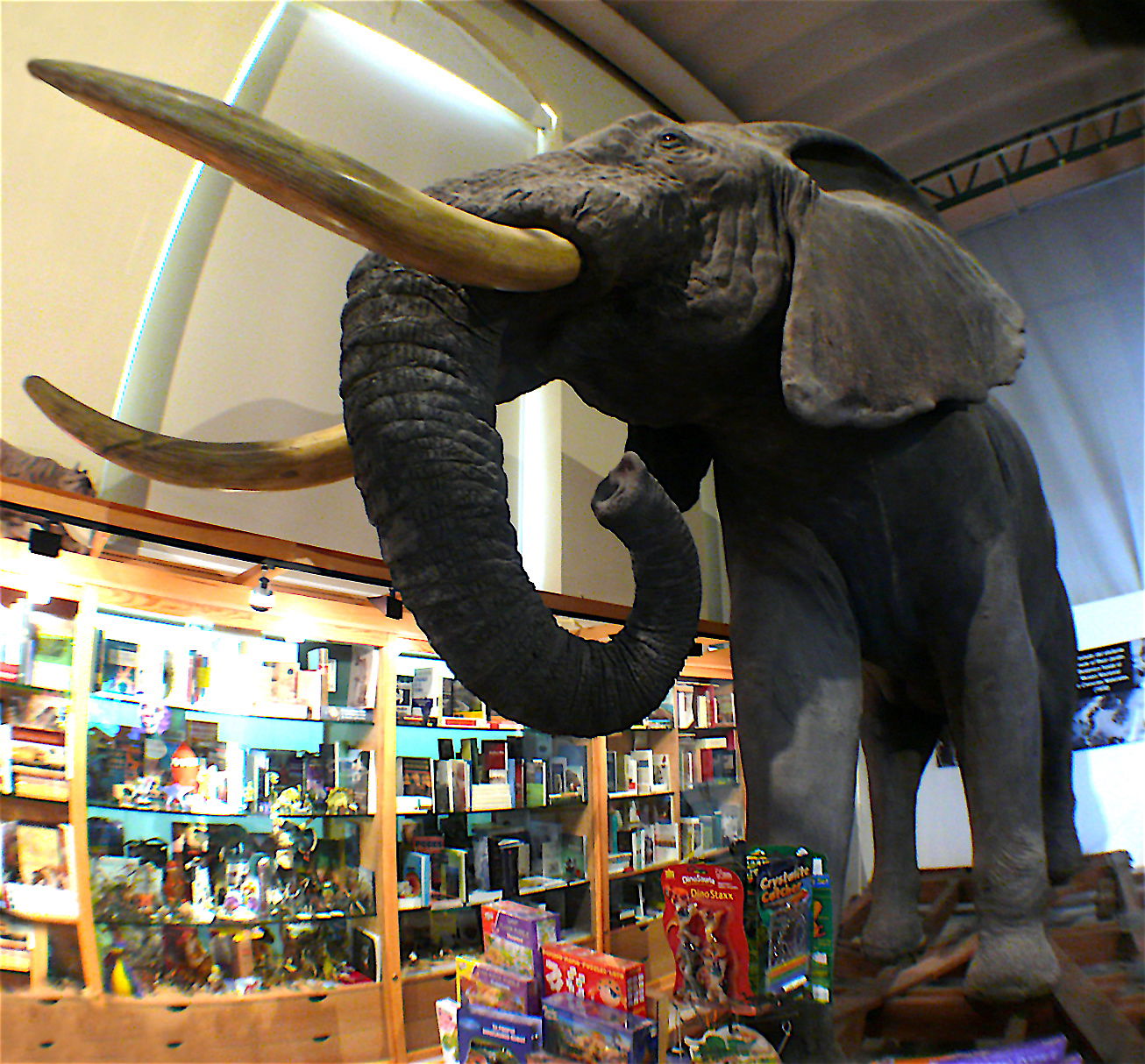 Museo Nacional de Ciencias Naturales