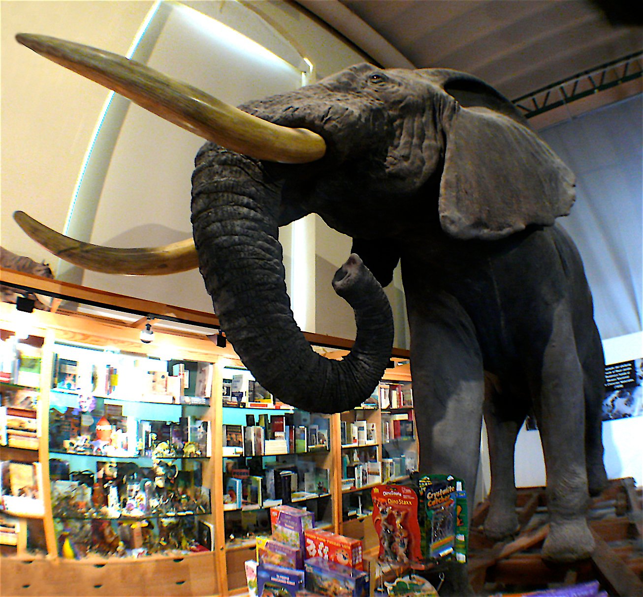 National Museum of Natural Sciences of Spain