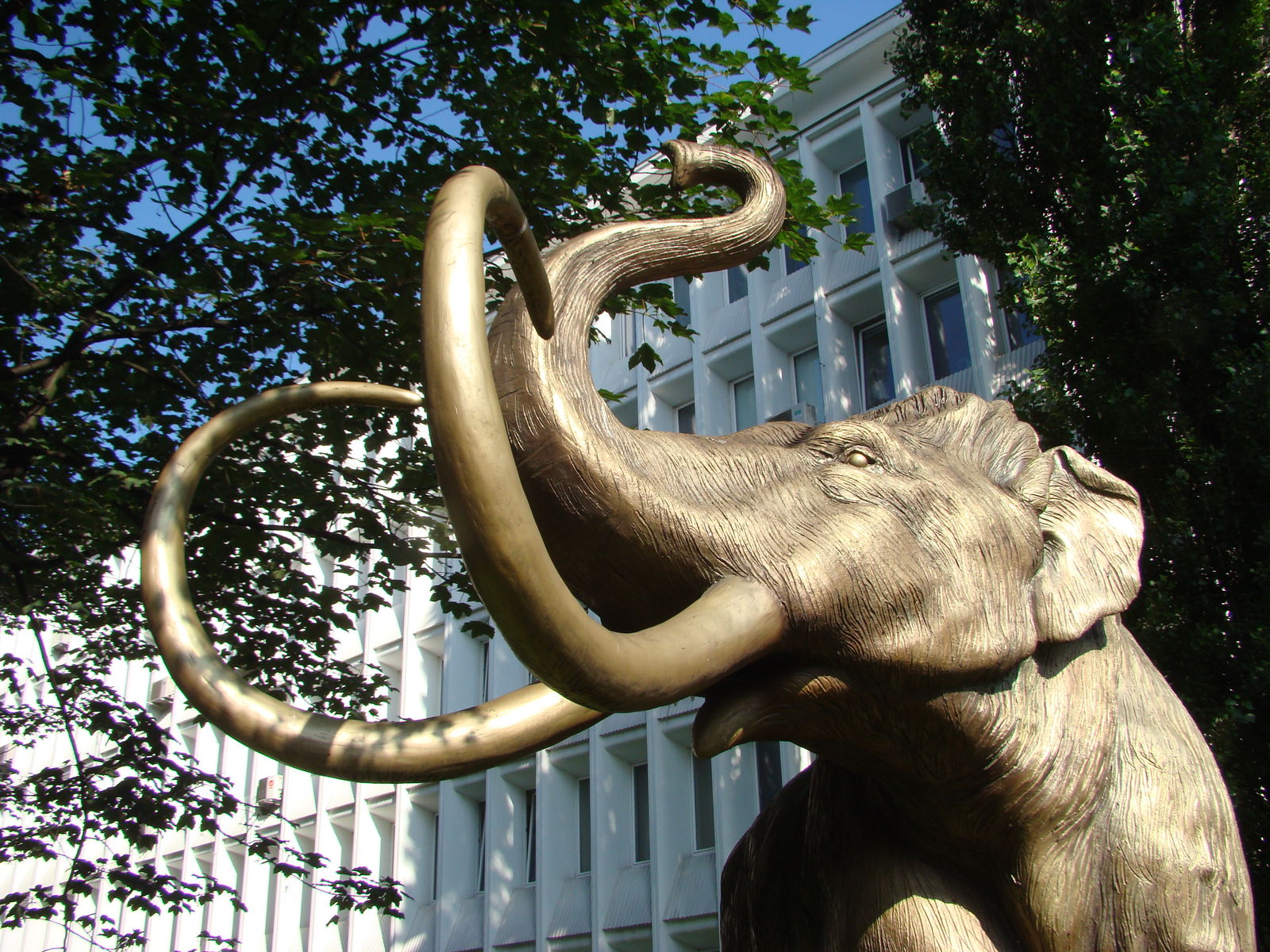 Geological Museum of the Polish Geological Institute