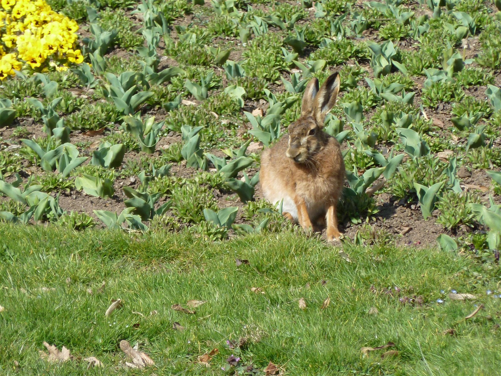 Wilhelma Zoologisch-Botanischer Garten