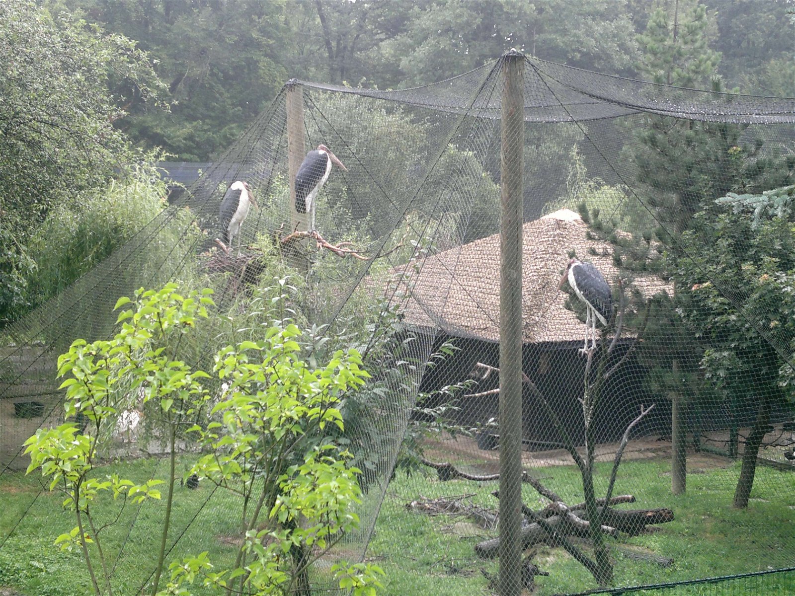 Krakow Zoo