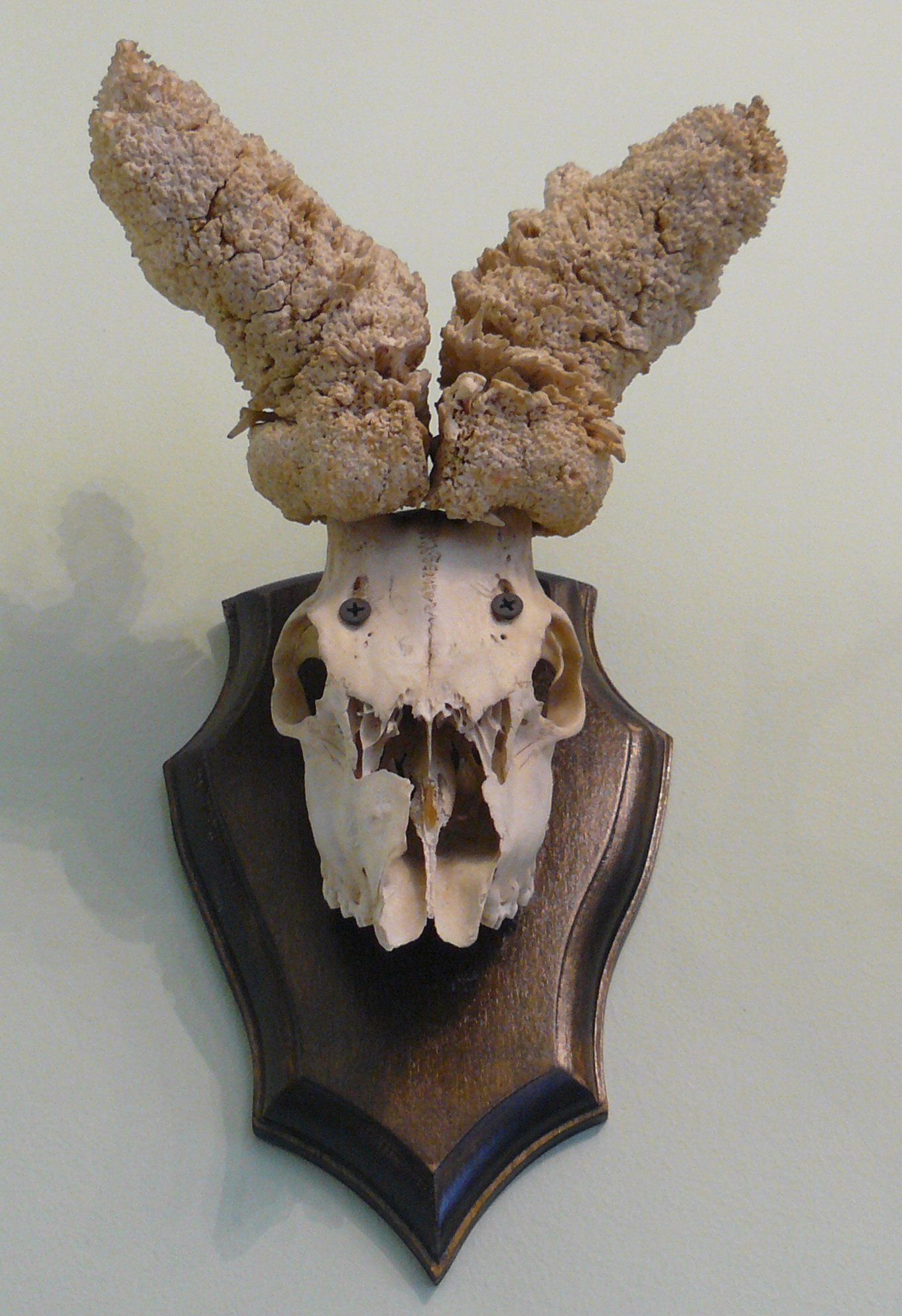 Museum of Natural Environment and Hunting