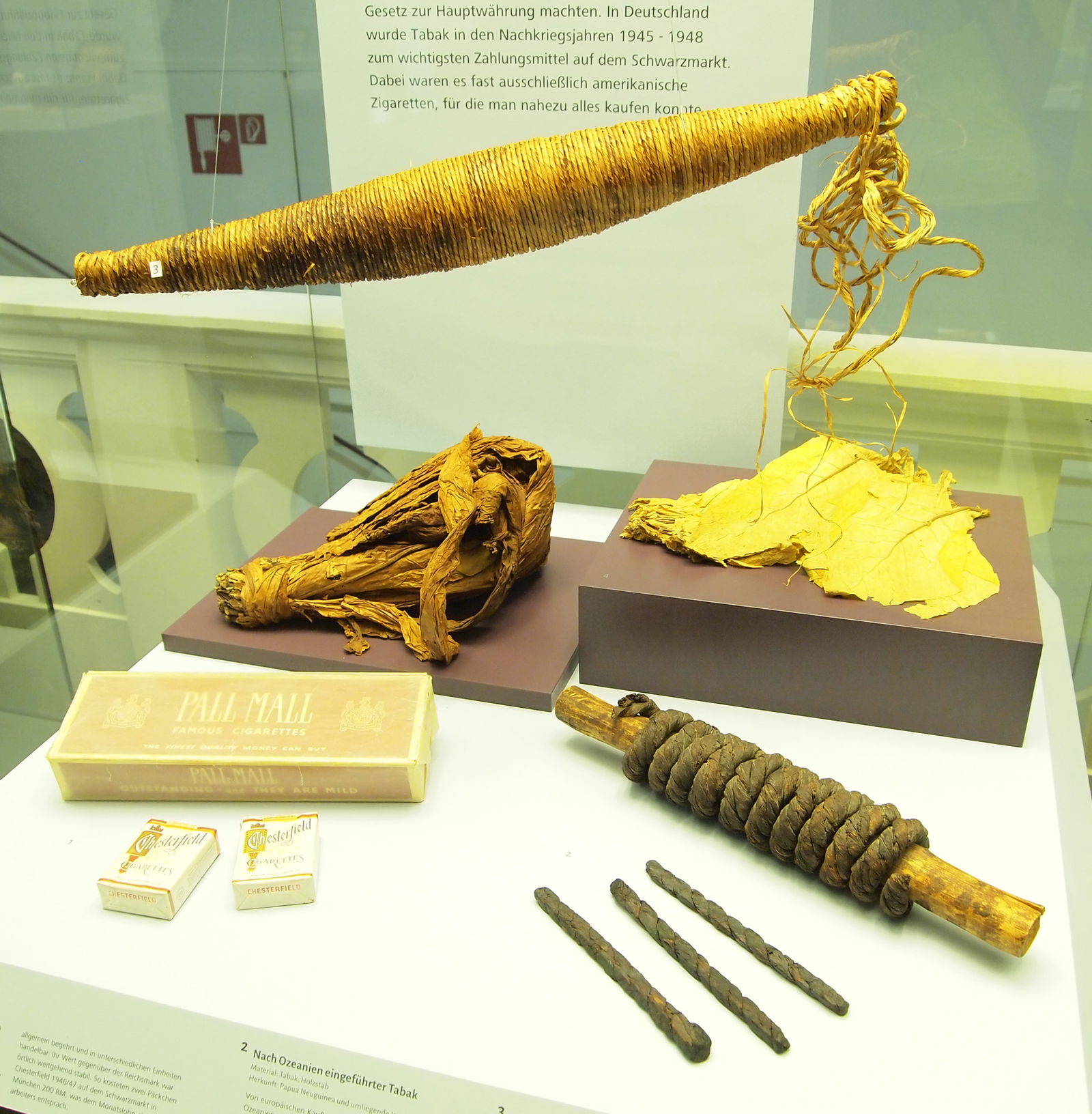 Museum Mensch und Natur