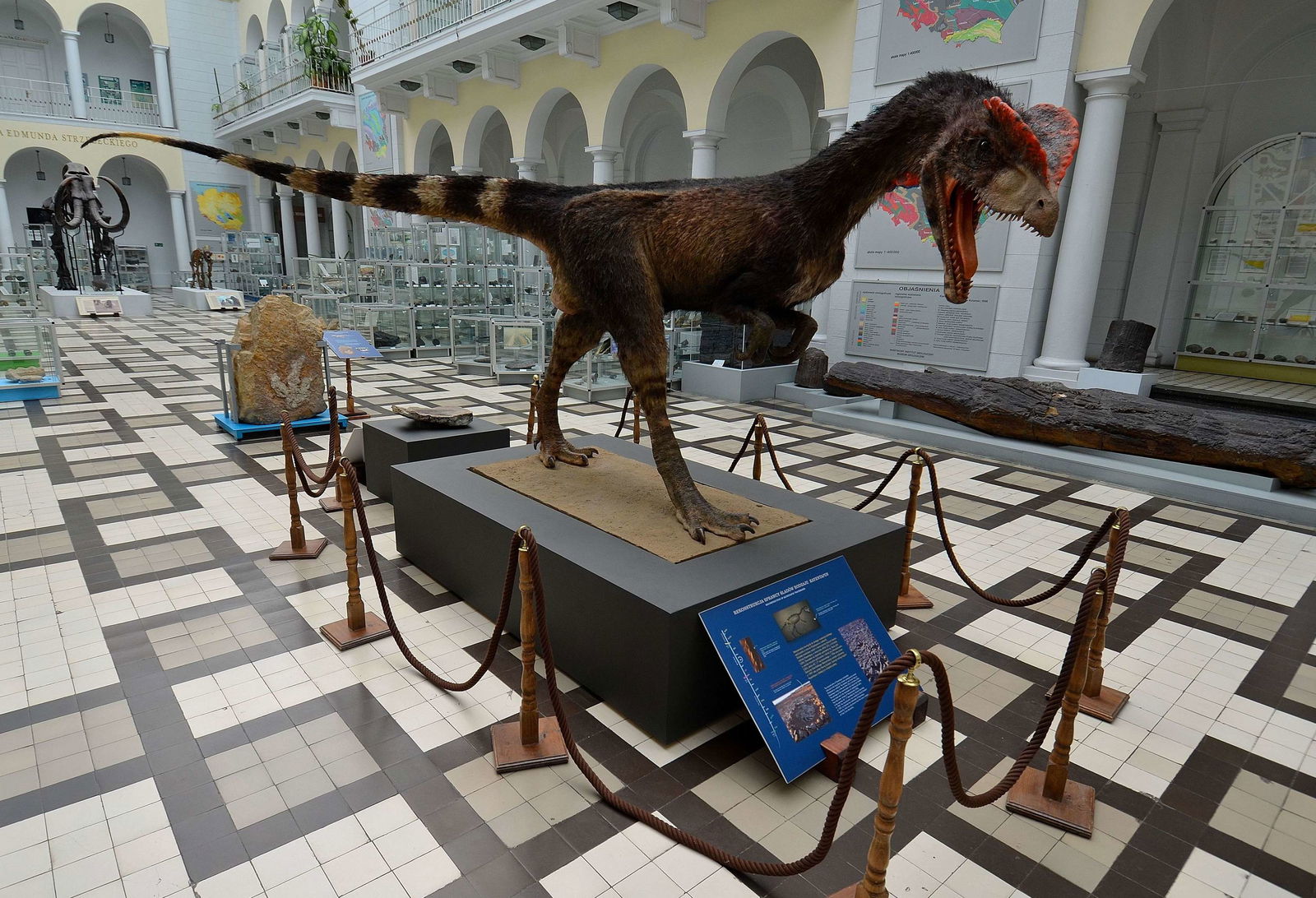 Geological Museum of the Polish Geological Institute