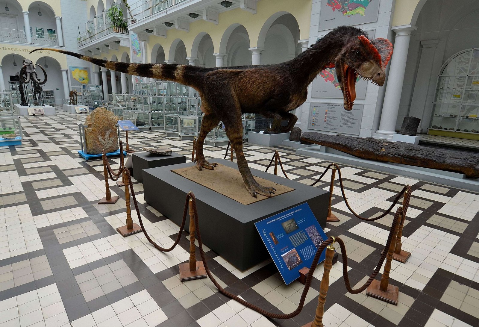 Geological Museum of the Polish Geological Institute