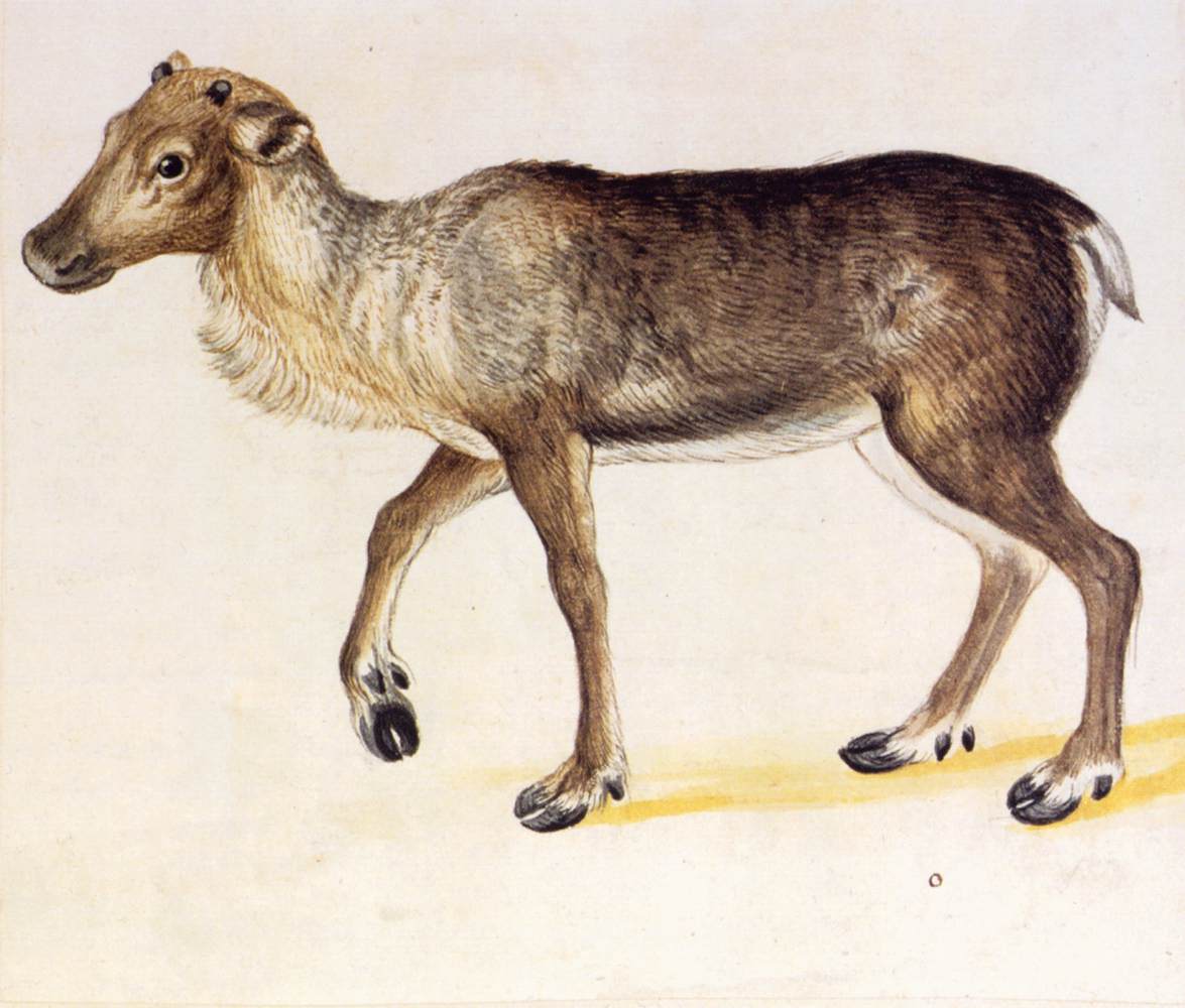 Austrian National Library