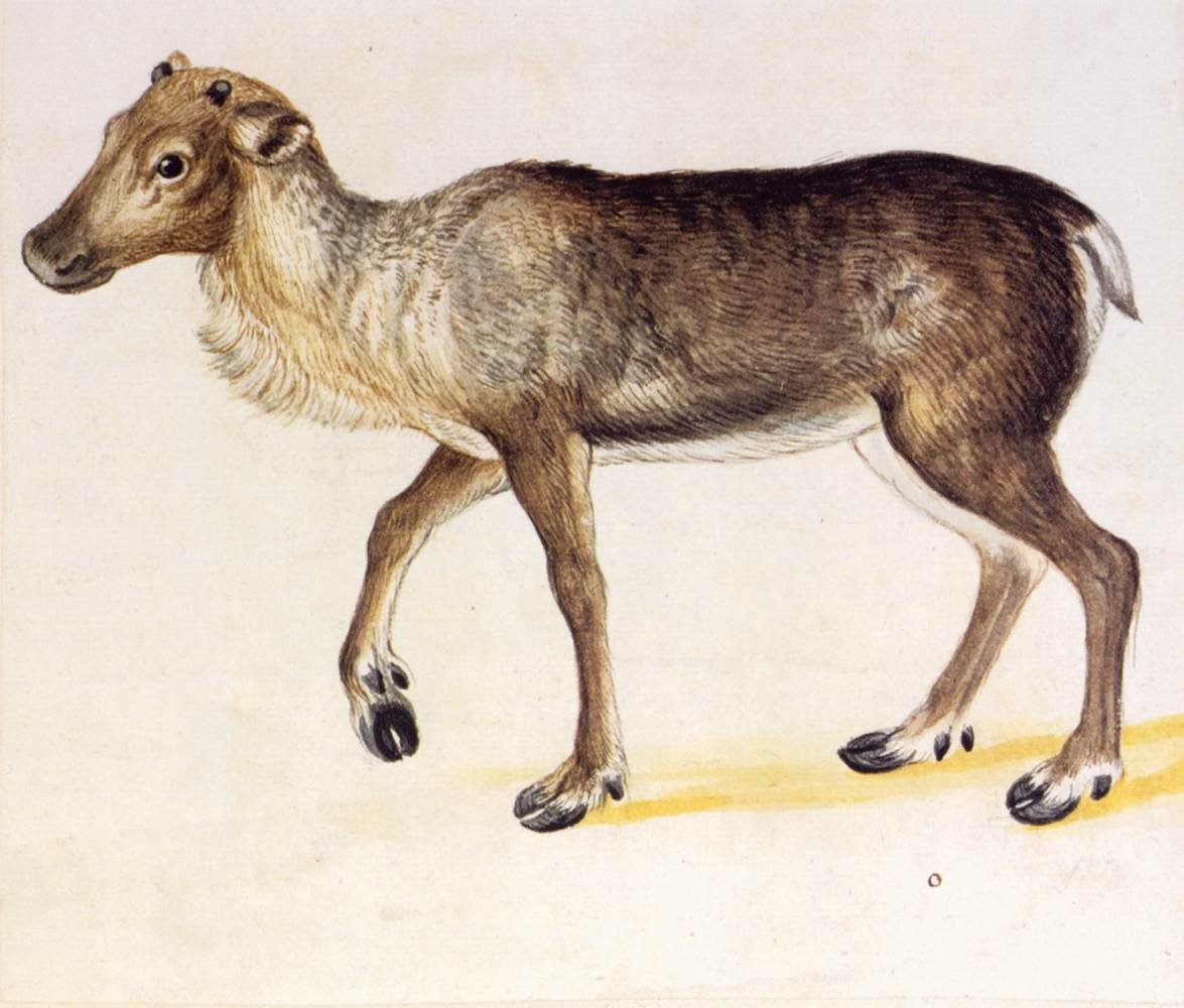 Austrian National Library