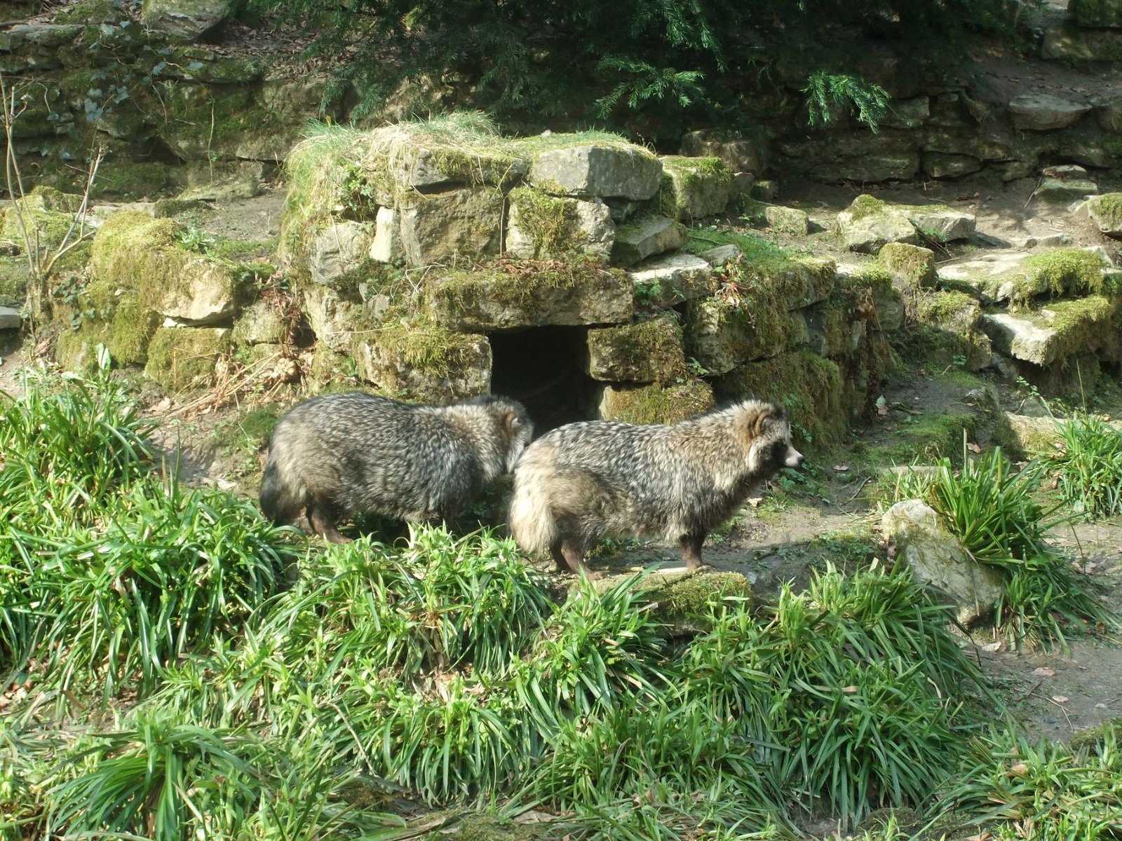 Heimat-Tierpark Olderdissen