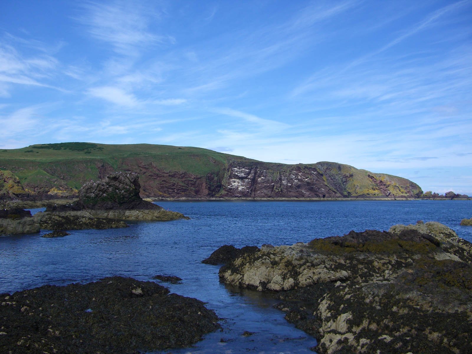 St Abb's Head Nature Centre