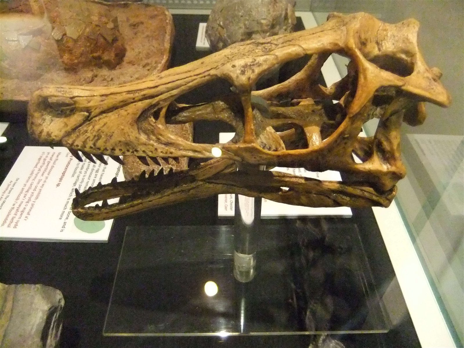 Wrexham County Borough Museum and Archives