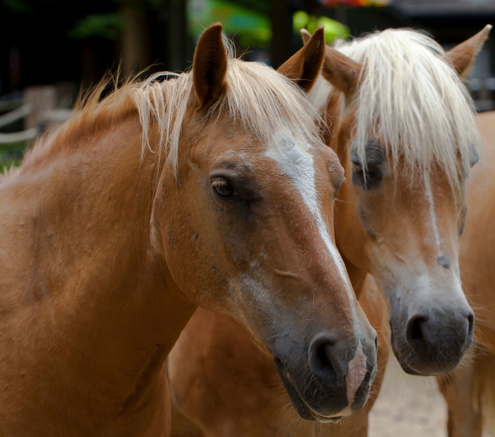 Tierpark Hellabrunn