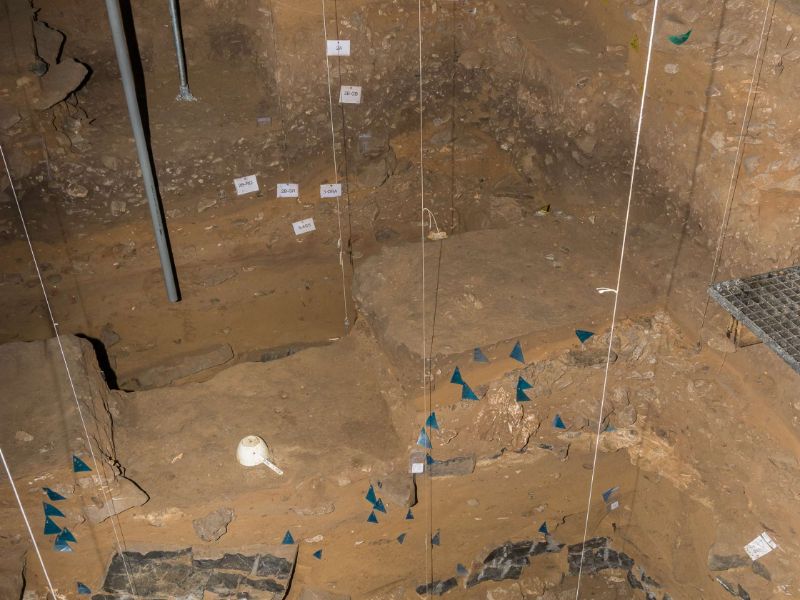 Archaeological Centre - Scladina Cave