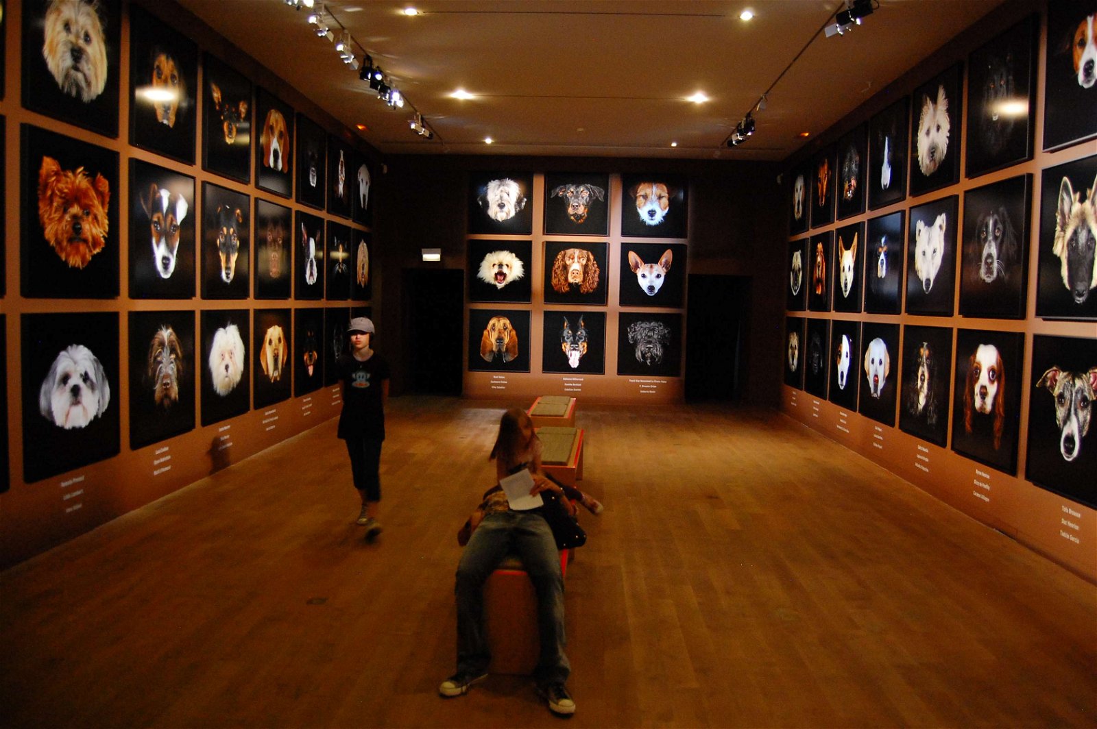 Musée de la Chasse et de la Nature