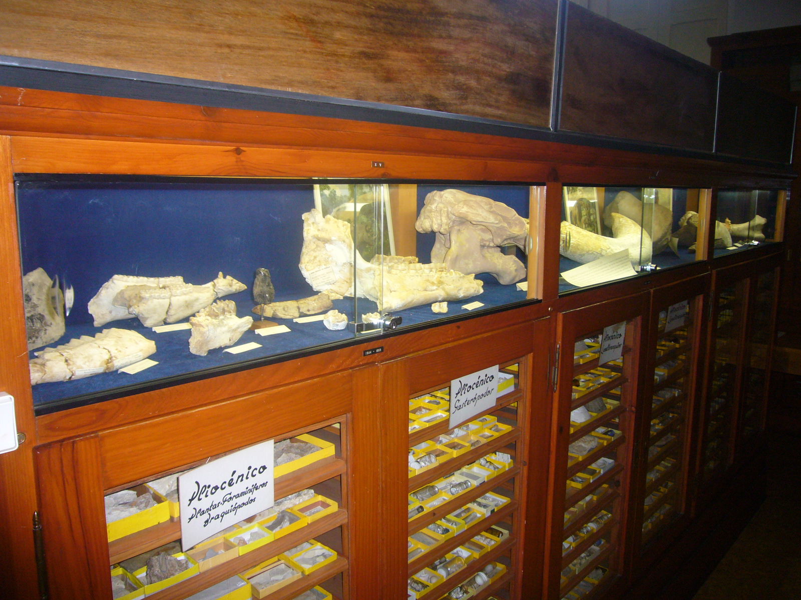 Museu Geologic del Seminari de Barcelona