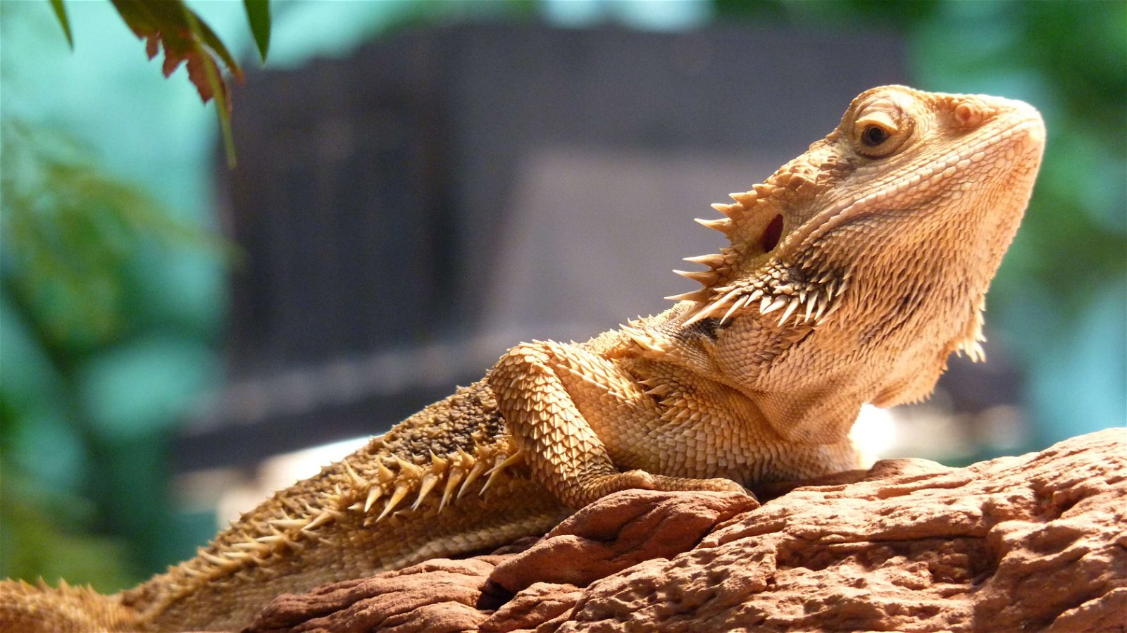 Wilhelma Zoo and Botanical Garden