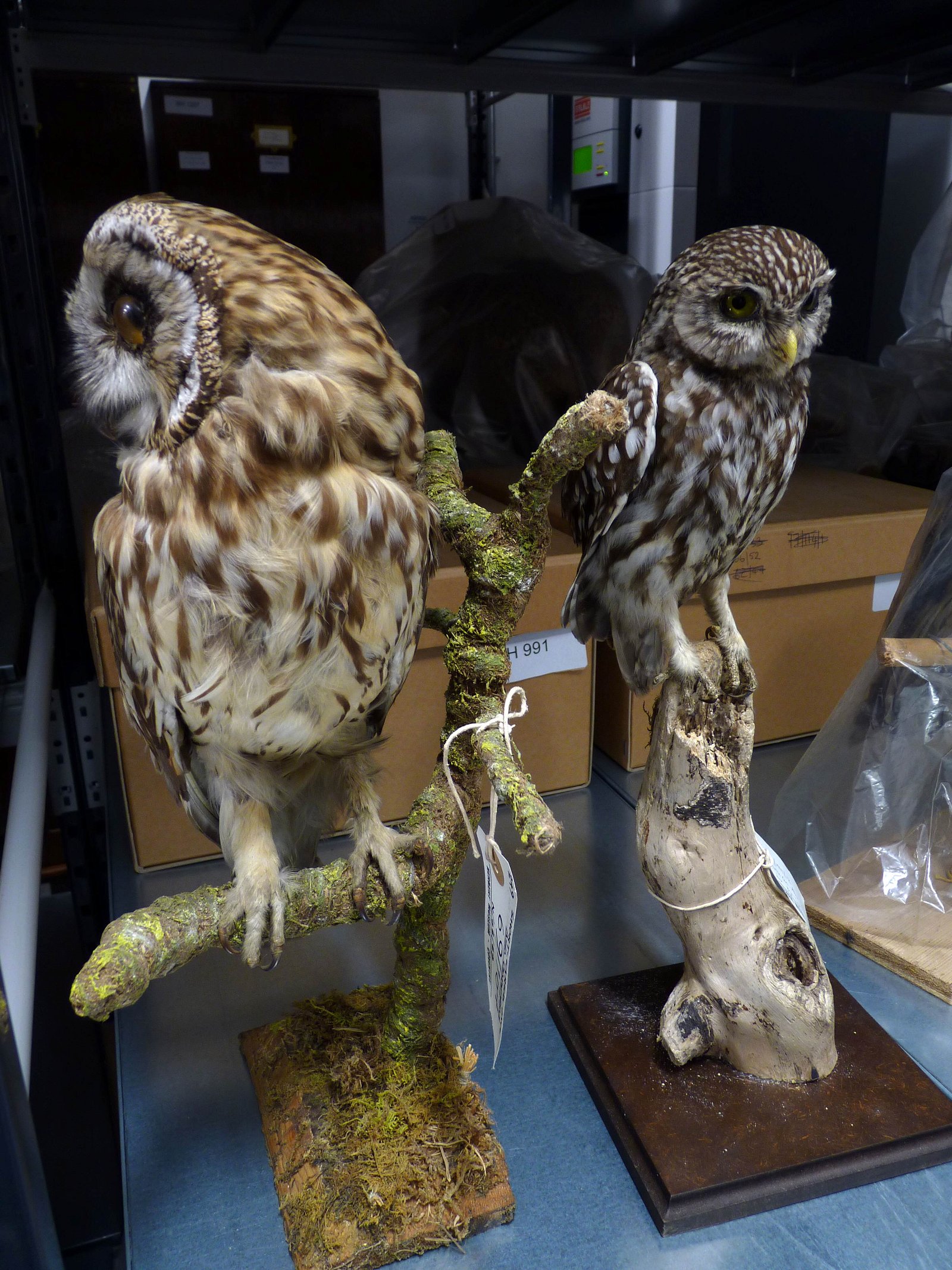 Herbert Art Gallery and Museum