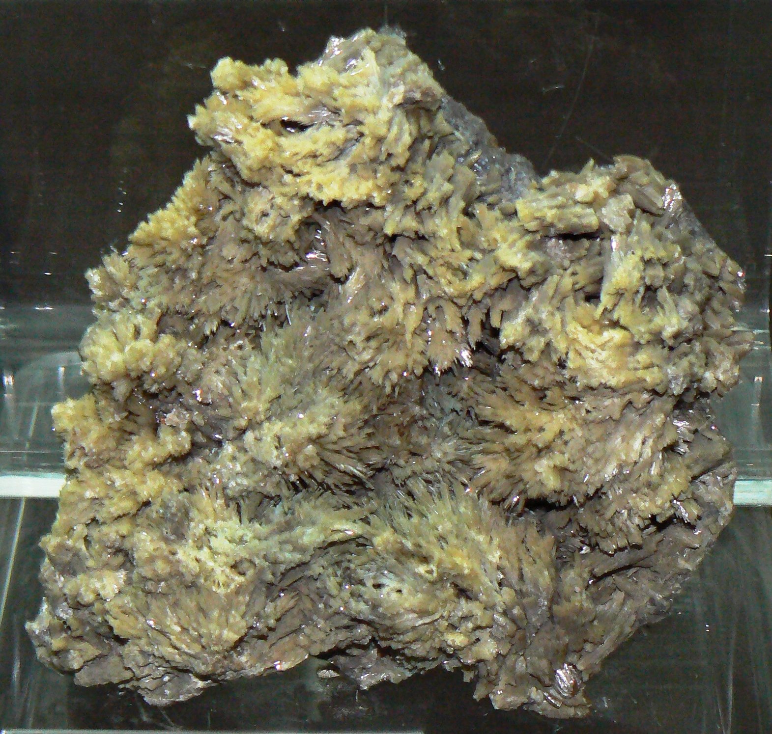 Earth and Man National Museum