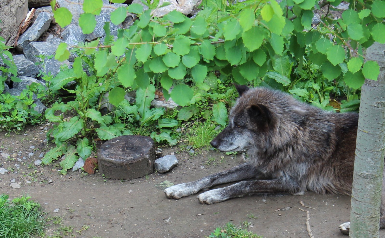 Erlebnis Zoo Hannover