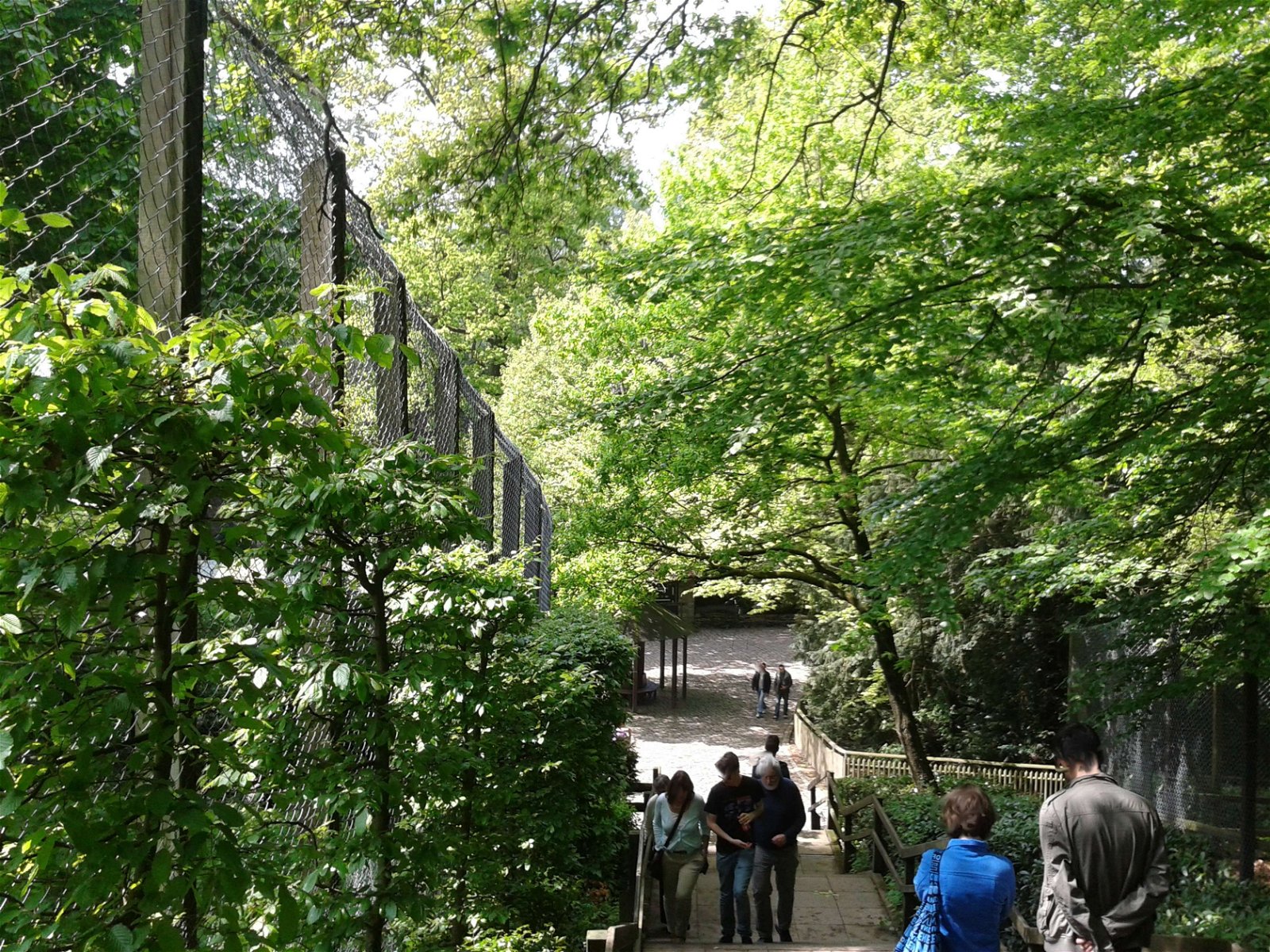 Heimat-Tierpark Olderdissen
