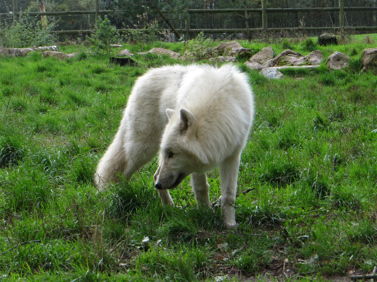 Monde Sauvage Safaripark