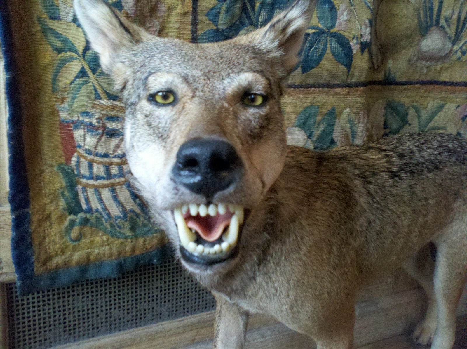 Musée de la Chasse et de la Nature