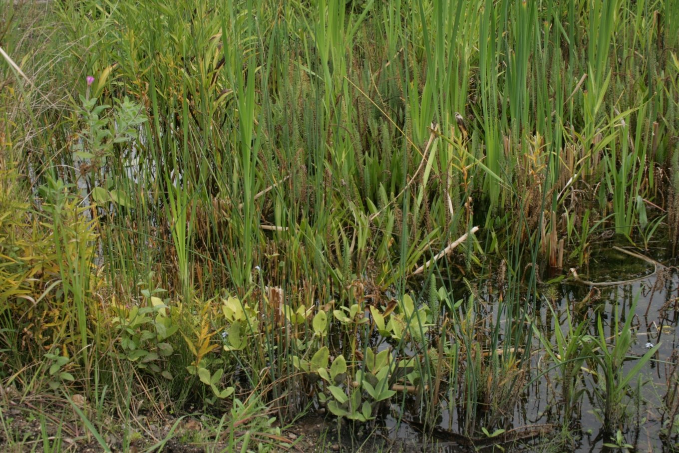 Aarhus Botanical Gardens
