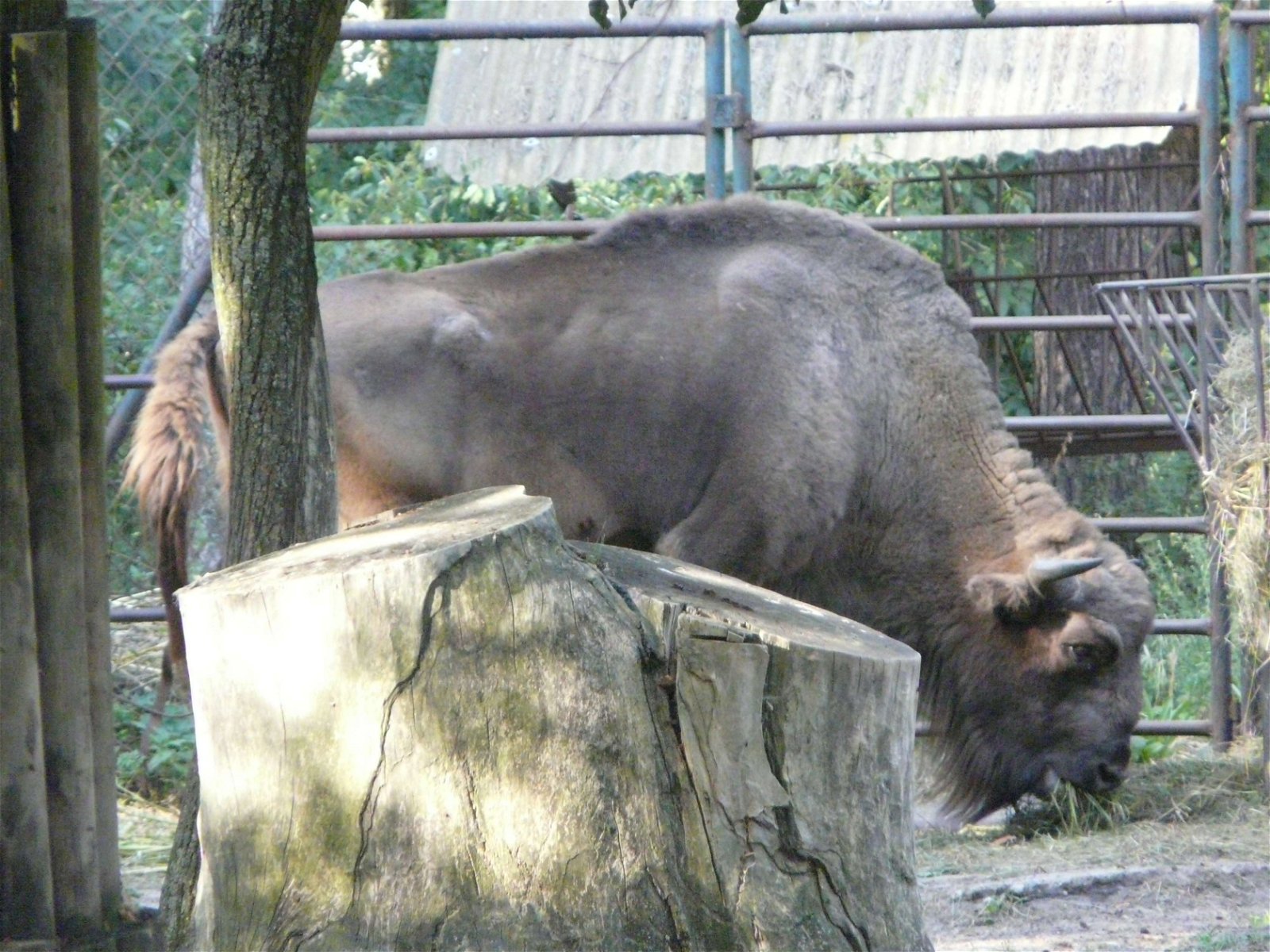 Zoo Poznań