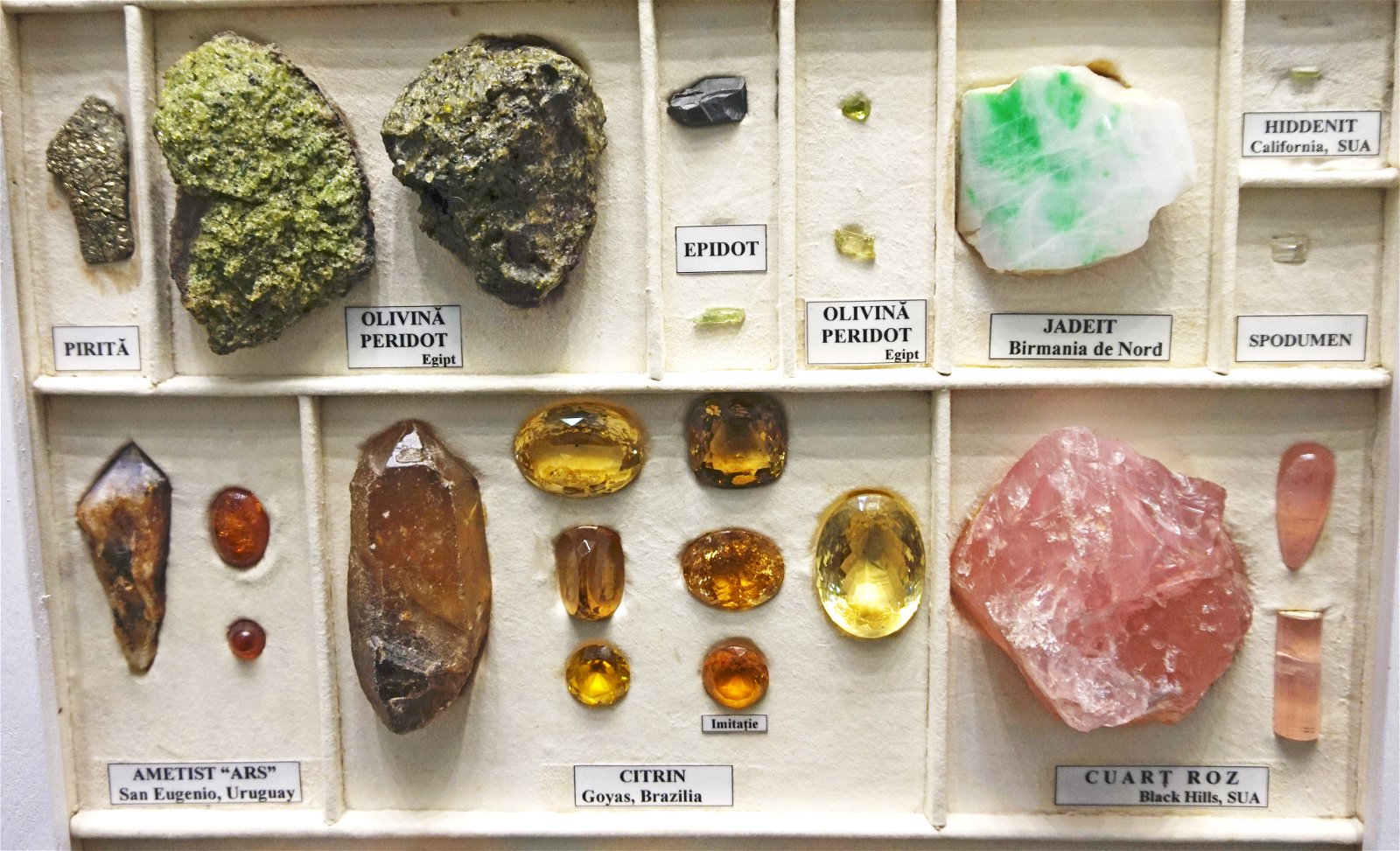 Grigore Antipa National Museum of Natural History