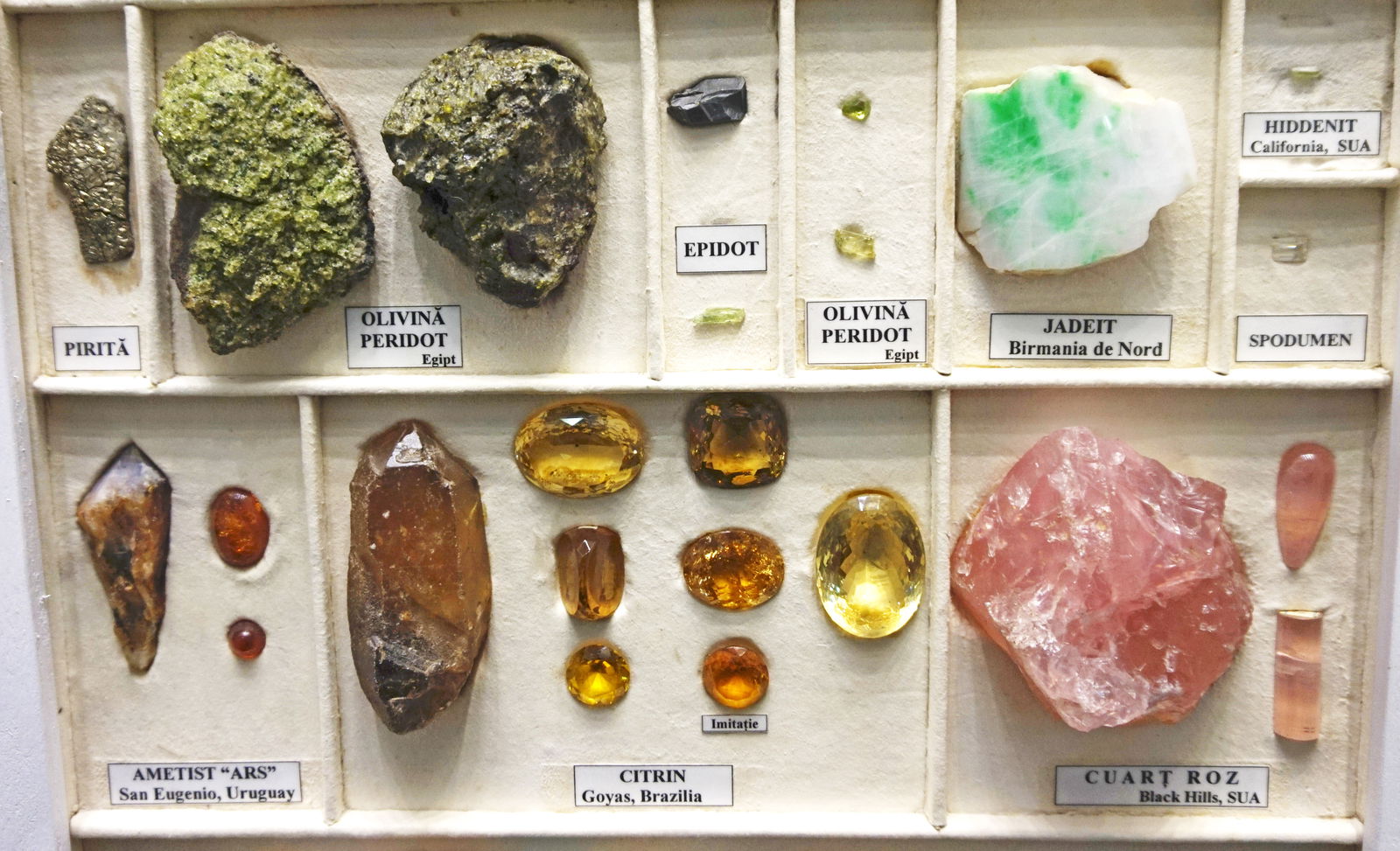 Grigore Antipa National Museum of Natural History