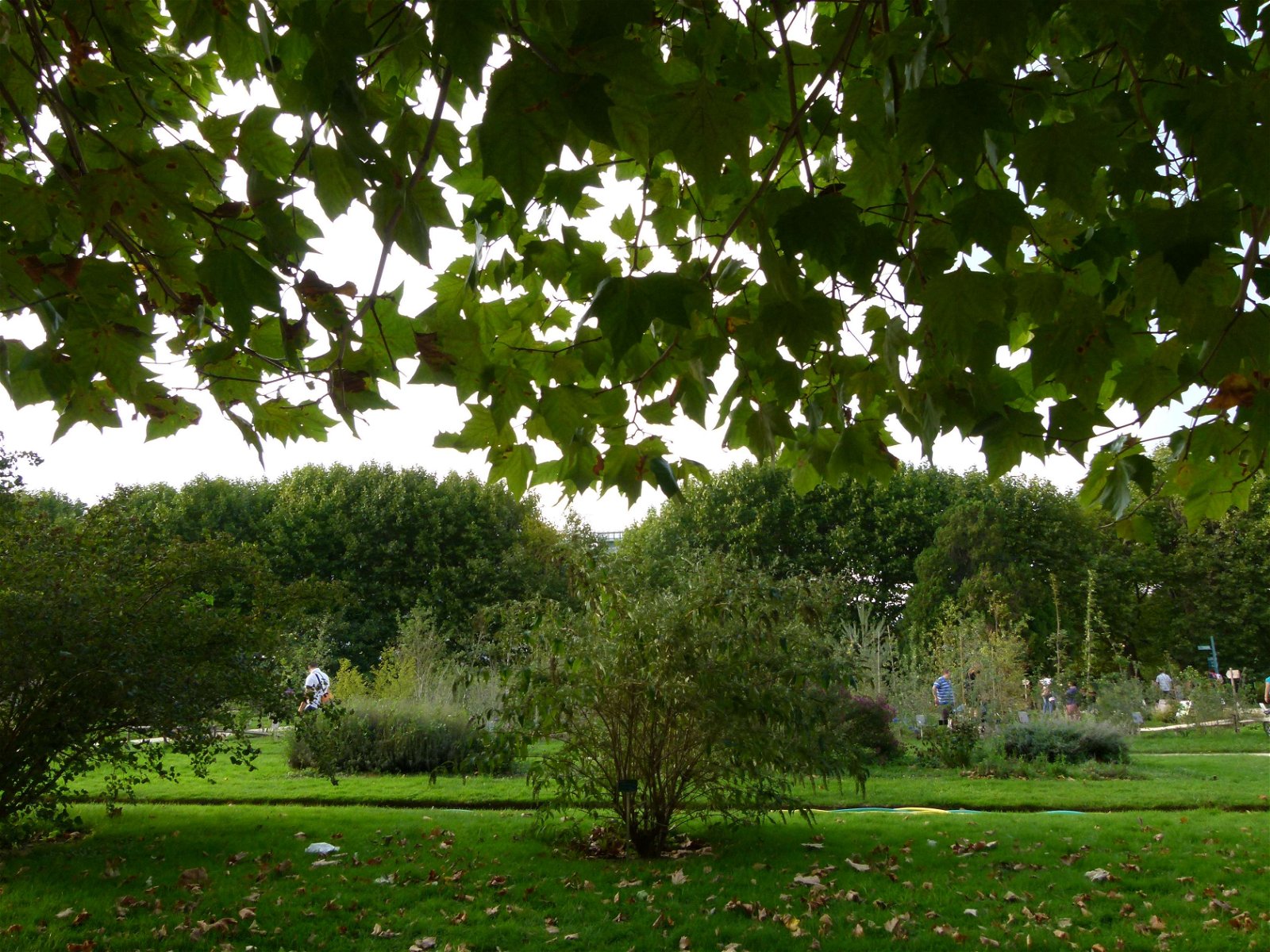 Jardin des Plantes
