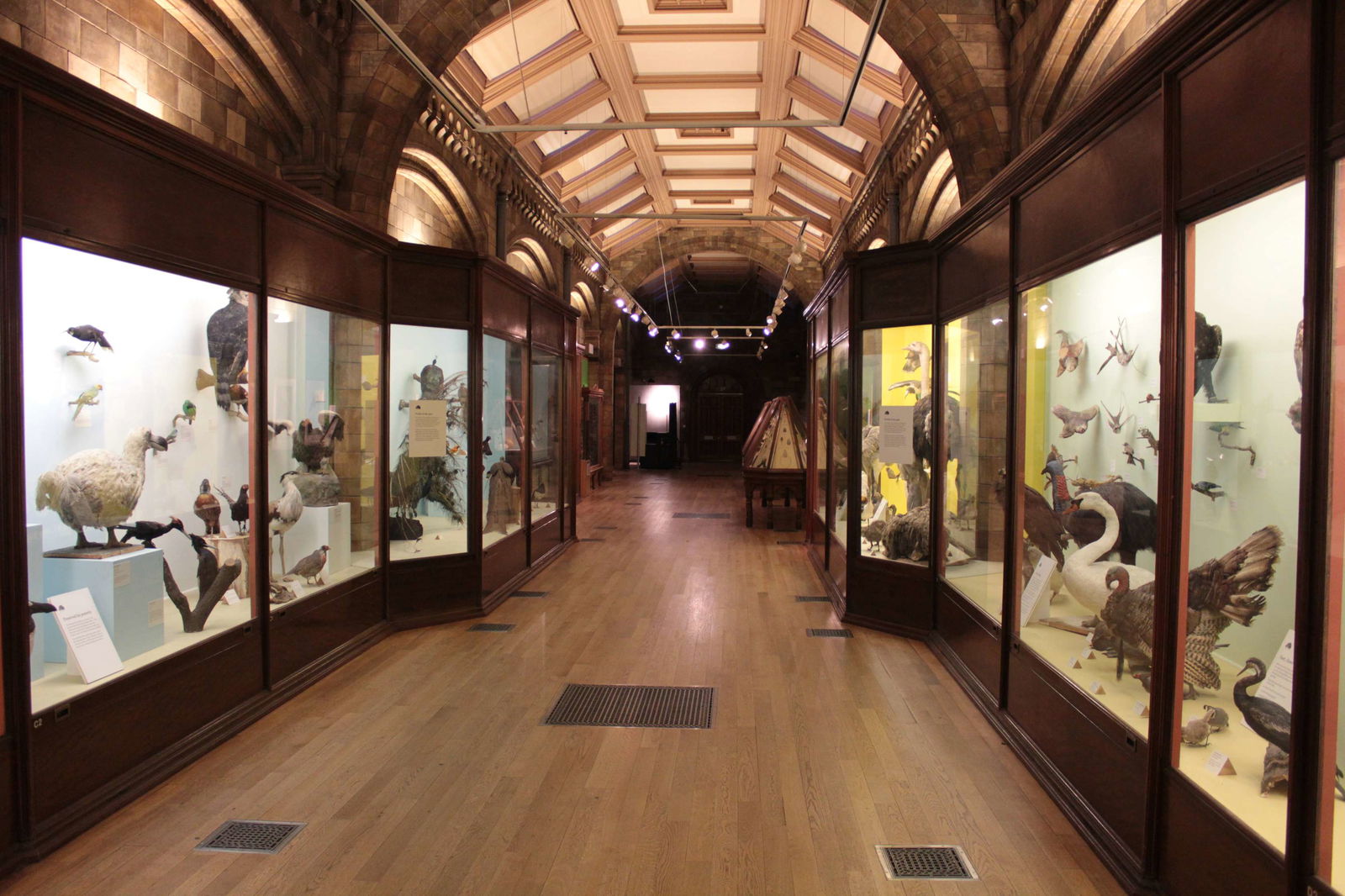 Natural History Museum