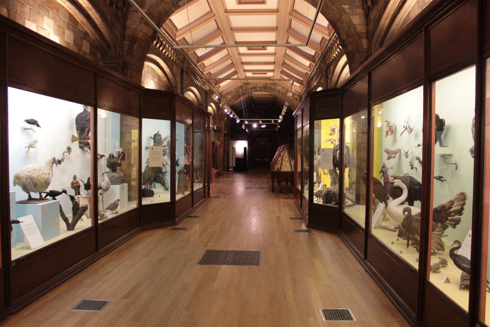 Natural History Museum