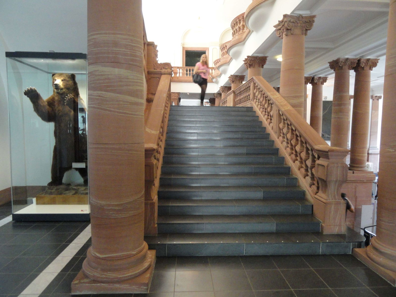 Senckenberg Natural History Museum