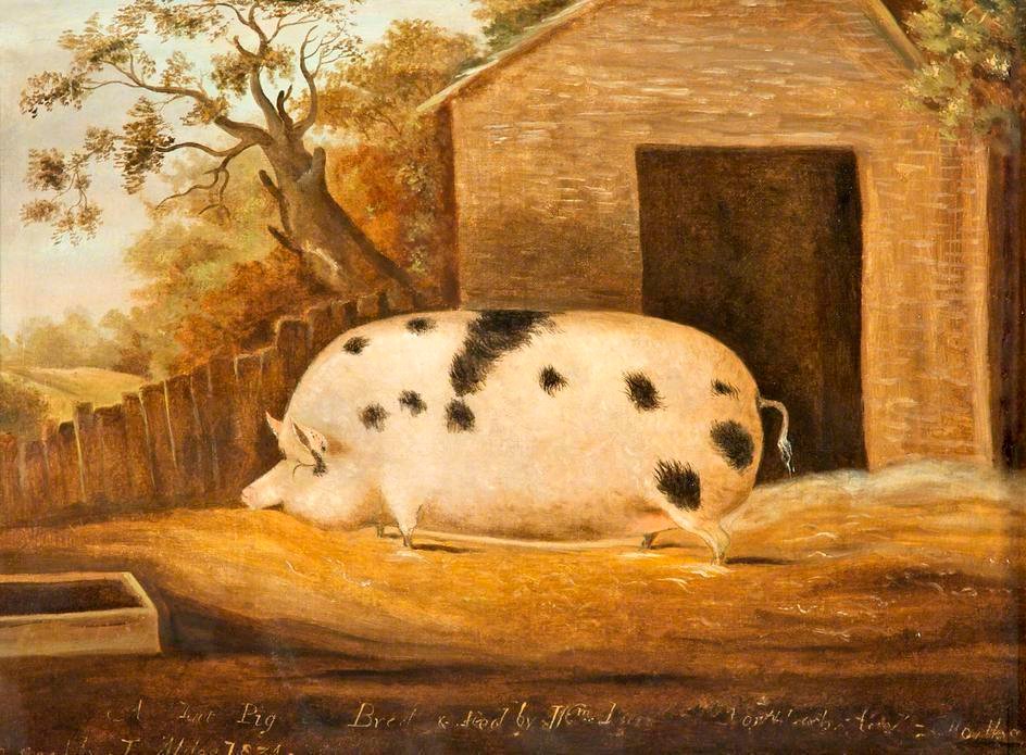 Museum of Gloucester