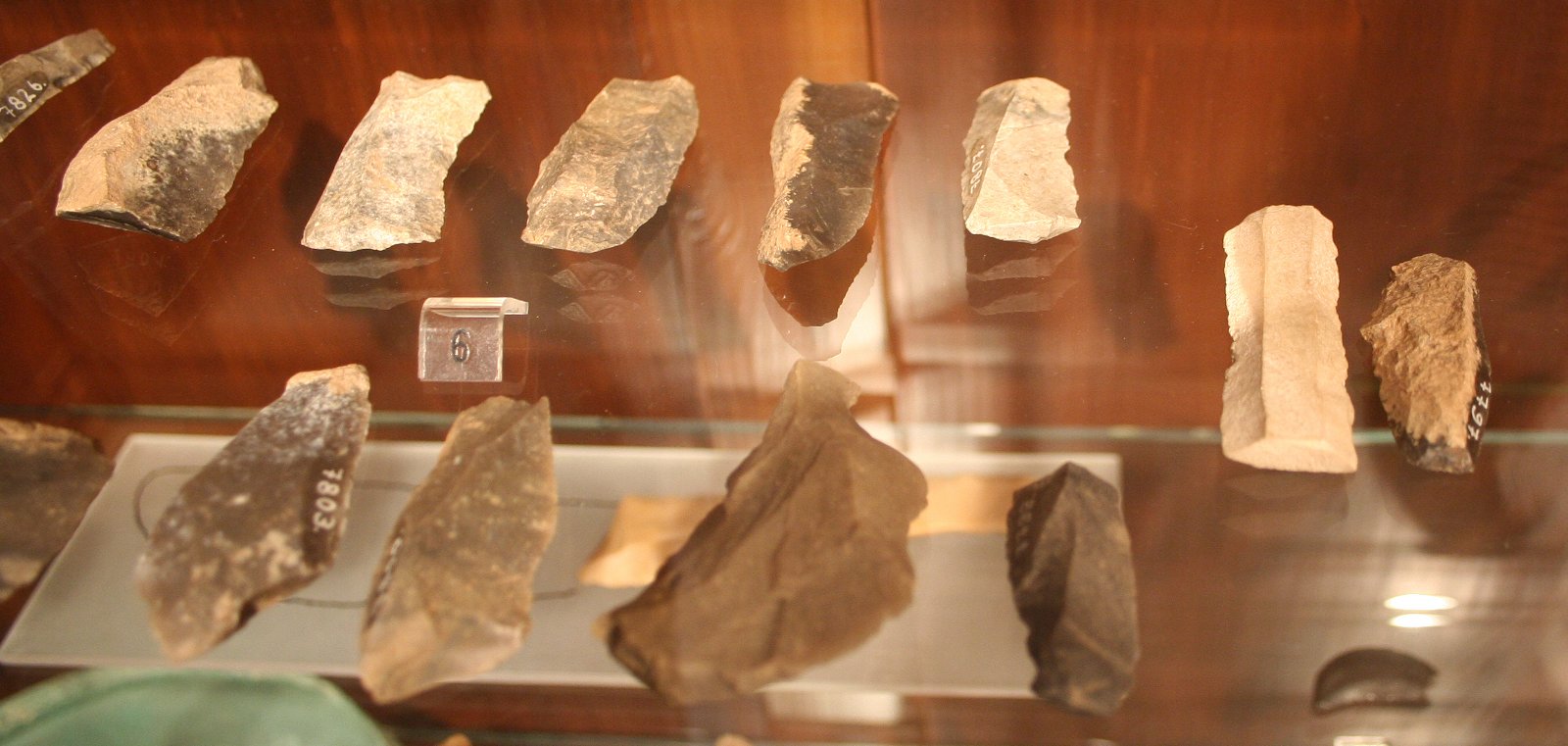 Egyptian Museum of the University of Leipzig